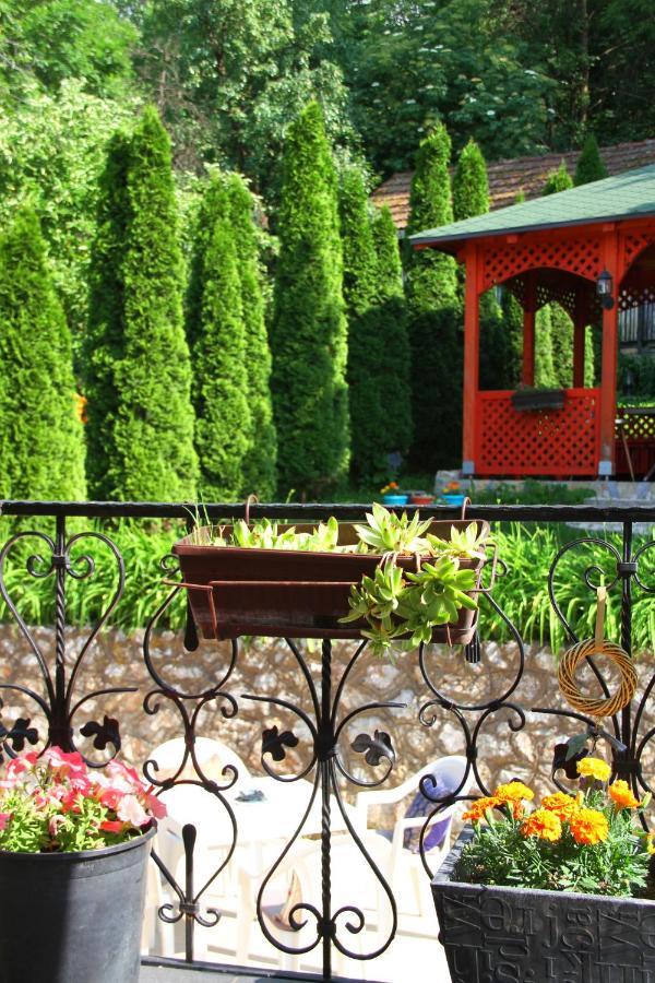 Downtown Oasis Sarajevo